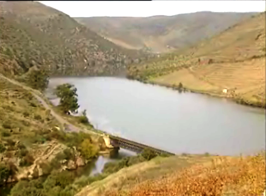 Foz Côa: Gravuras e não só