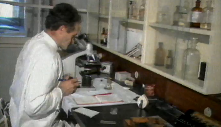 Dia Mundial da Lepra