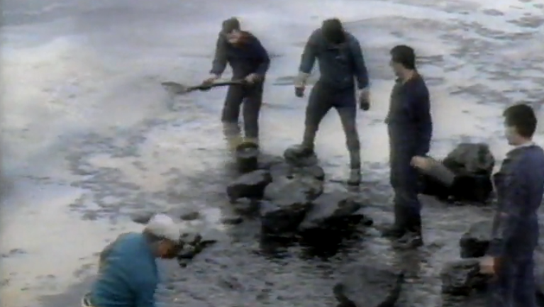 Maré negra em Porto Santo