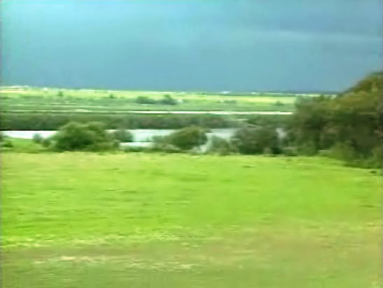 Projecto de estrada põe em risco reserva natural