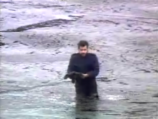 Derrame de crude em Porto Santo