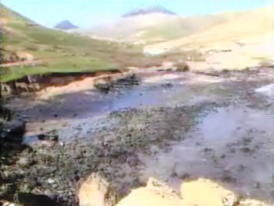 Operação de limpeza da costa da ilha de Porto Santo