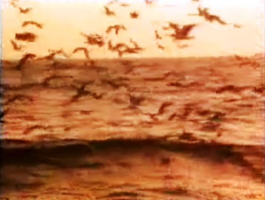 Libertação de pesqueiros portugueses