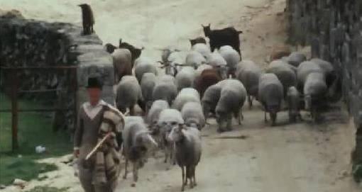 A Natureza e o Homem