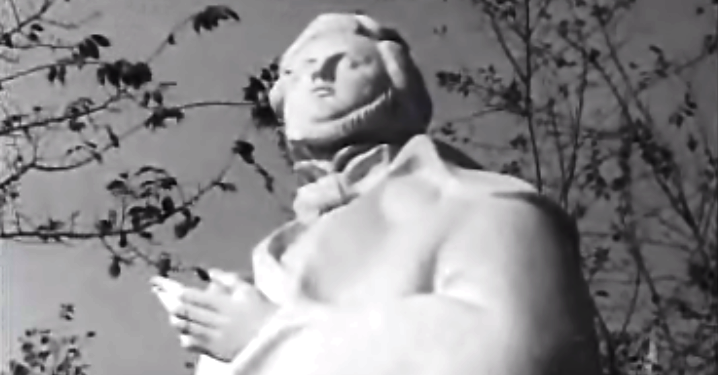 Vozes de pedra e de bronze