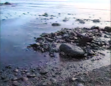 Operações de limpeza do crude em Porto Santo