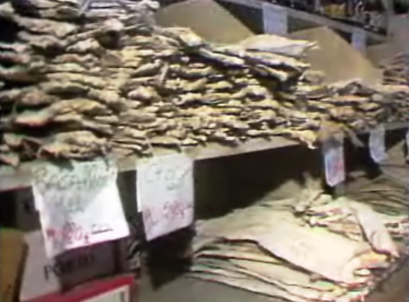 Cronologia da Pesca de bacalhau