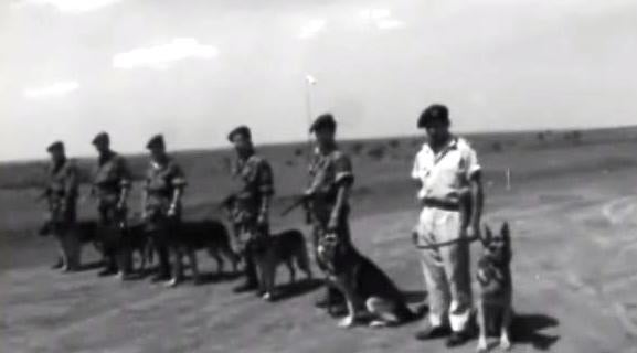 Chegada de Cães Polícia a Negage