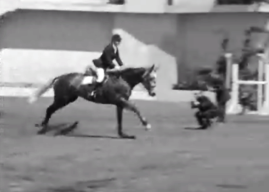 Festival Equestre da GNR