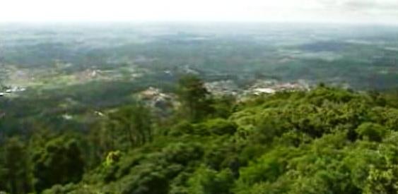 Cores e Sabores na Mealhada