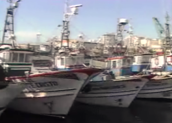 Setor pesqueiro português em discussão em seminário da NATO