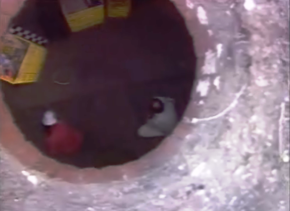 Escavação Arqueológica  na Sé de Lisboa