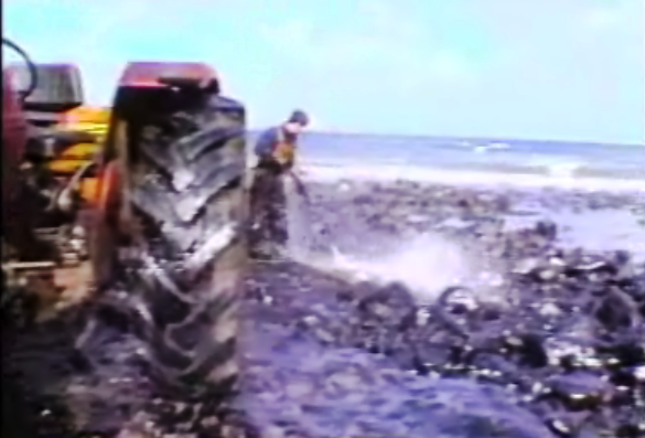 Mancha de Crude em Porto Santo