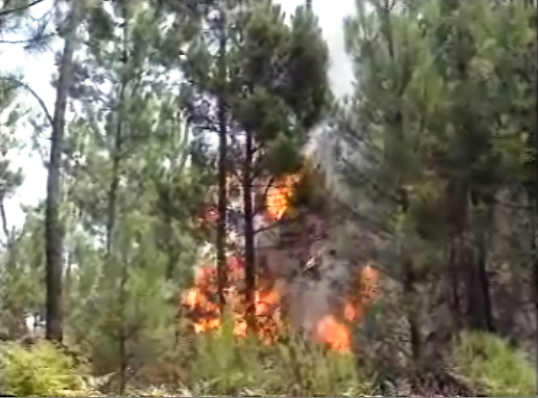 Combate a incêndios