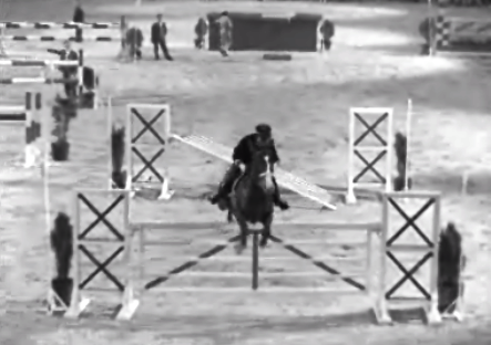 Hipismo: Concurso de saltos