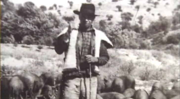 As Jóias Negras do Império – Parte I