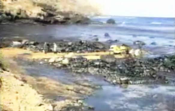 Derramamento de Crude em Porto Santo