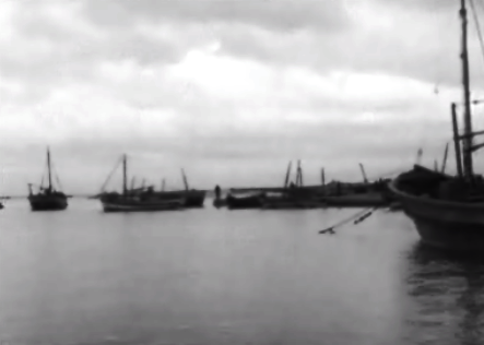 Reportagem a bordo de uma traineira