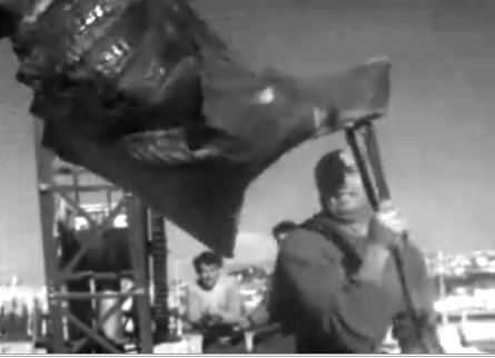 Captura de um tubarão-frade