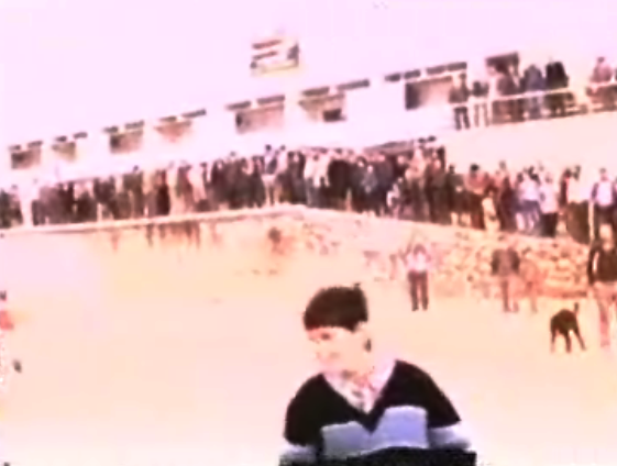 Primeiro Banho do Ano