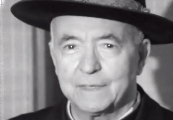 Partida do Cardeal Patriarca de Lisboa para o Brasil