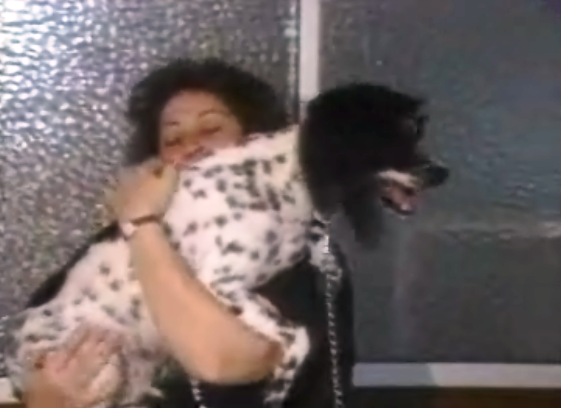 O modo como os animais são tratados