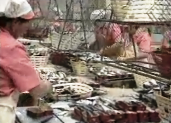 Problemas nas exportações portuguesas