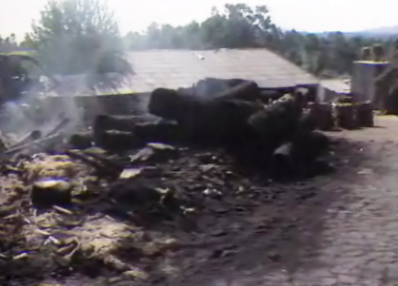 Incêndios em Viana do Castelo