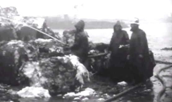 Incêndio no Porto de Leixões