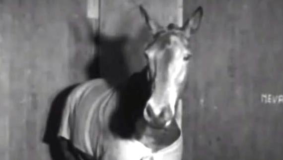 Jumping Internacional de Lisboa