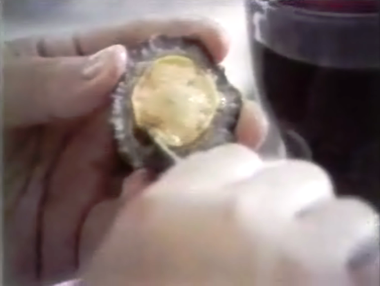 Proibição da apanha da lapa