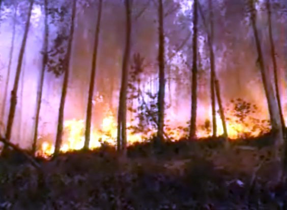 Incêndios no Minho