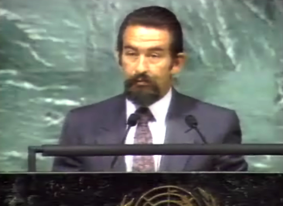 João de Deus Pinheiro na ONU