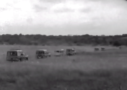 Reserva especial de protecção aos elefantes em Moçambique