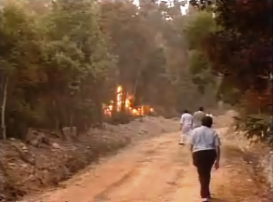 Incêndio na Serra de Sintra