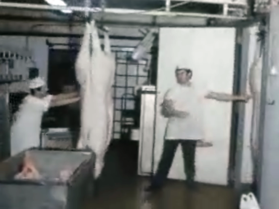 Matadouros em risco de encerrar