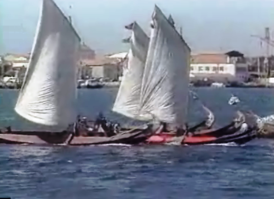 Regata de barcos moliceiros