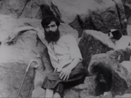 Camilo Pessanha:  entre os dois abismos