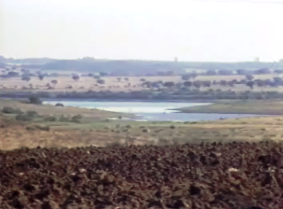 Venda de terrenos alentejanos a estrangeiros