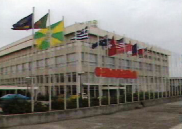 Realização da 13ª edição do Cinanima