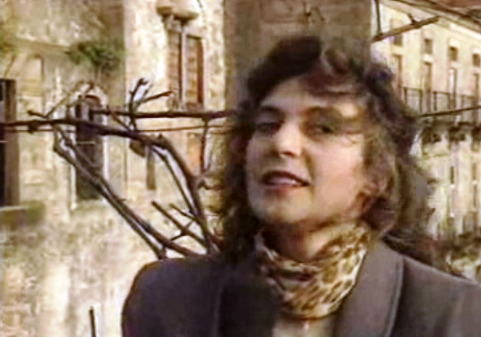 Campanha do PPM para as autárquicas do Porto