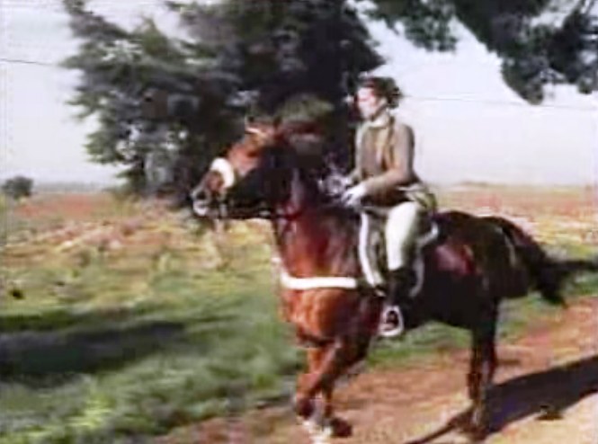 Estado de saúde de Luísa Mauricio