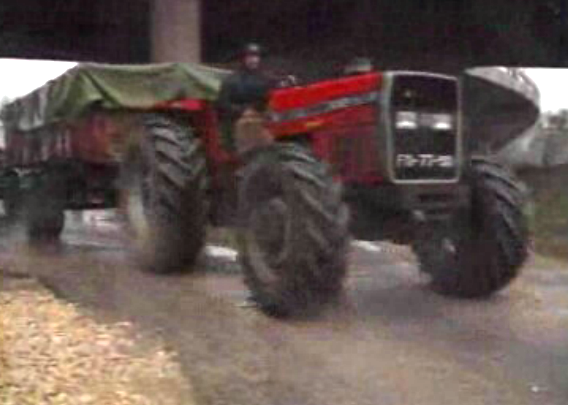 Fim da greve dos orizicultores