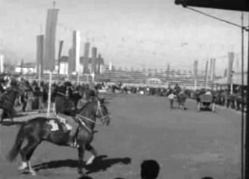 Último dia da Feira de São Martinho na Golegã