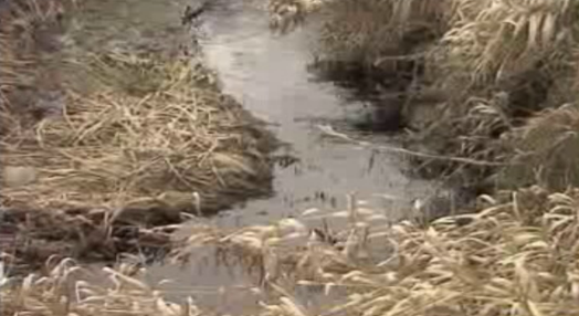 Poluição no rio Zêzere
