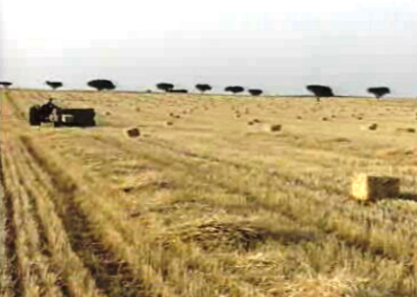 Verbas da CEE para agricultores