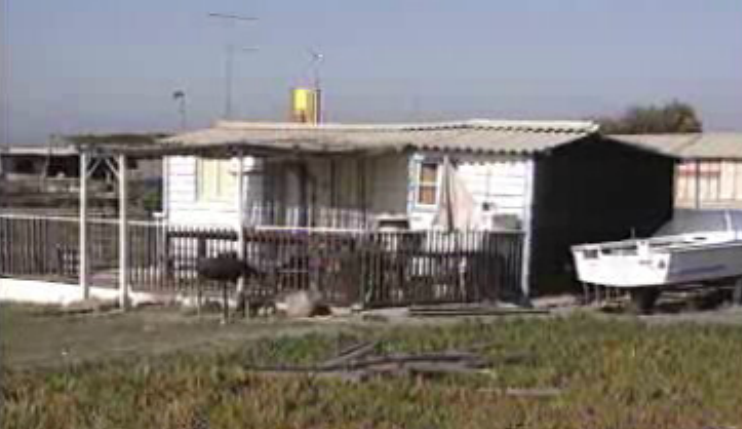 Demolição de casas clandestinas em São Torpes