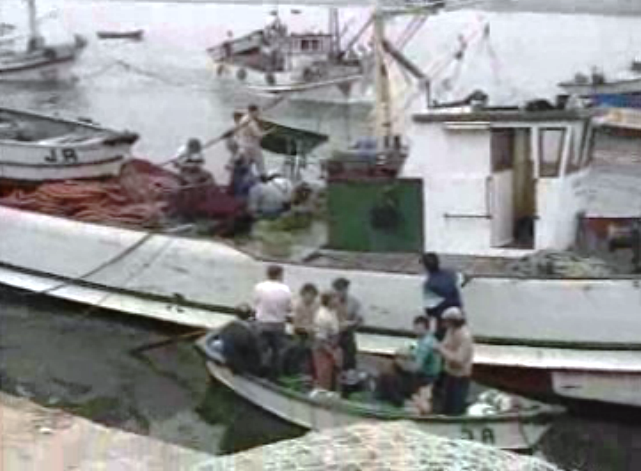 São Pedro da Afurada