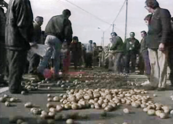 Problemas dos produtores de batata