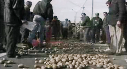 Problemas dos produtores de batata